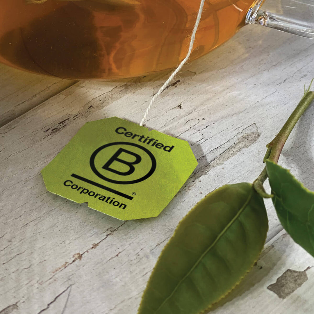 Bigelow Tea |  Certified B - tea tag with certified b symbol on a table