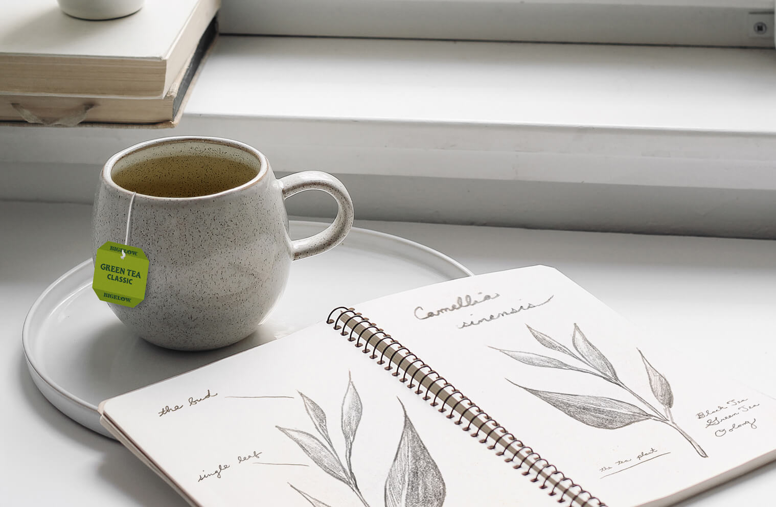 Bigelow Tea | Bigelow Whats Brewing Tea Education - tea cup with drawing journal