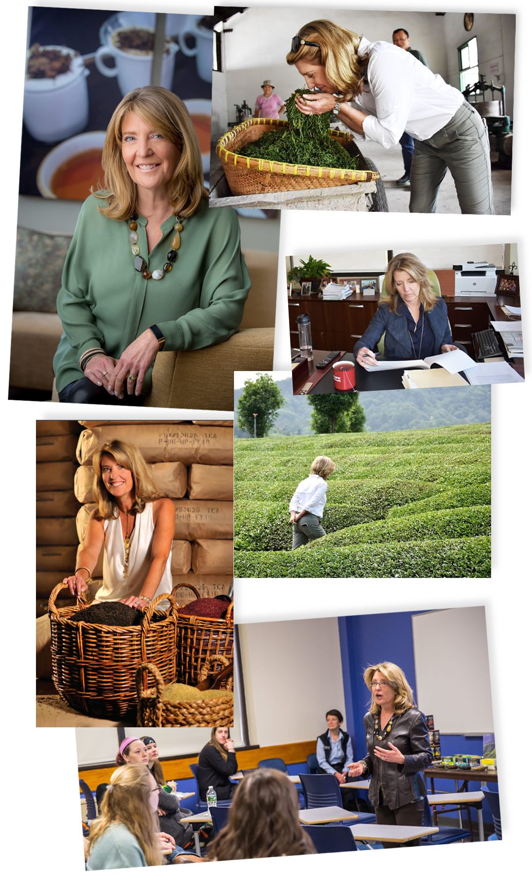 Bigelow Tea| Collage image of Cindi Bigelow The CEO and President of Bigelow Tea