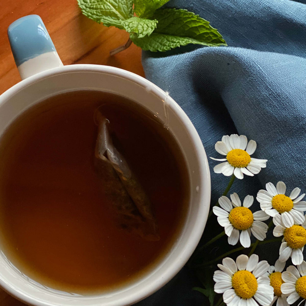 Cup of Bigelow Chamomile Mint Herbal Tea