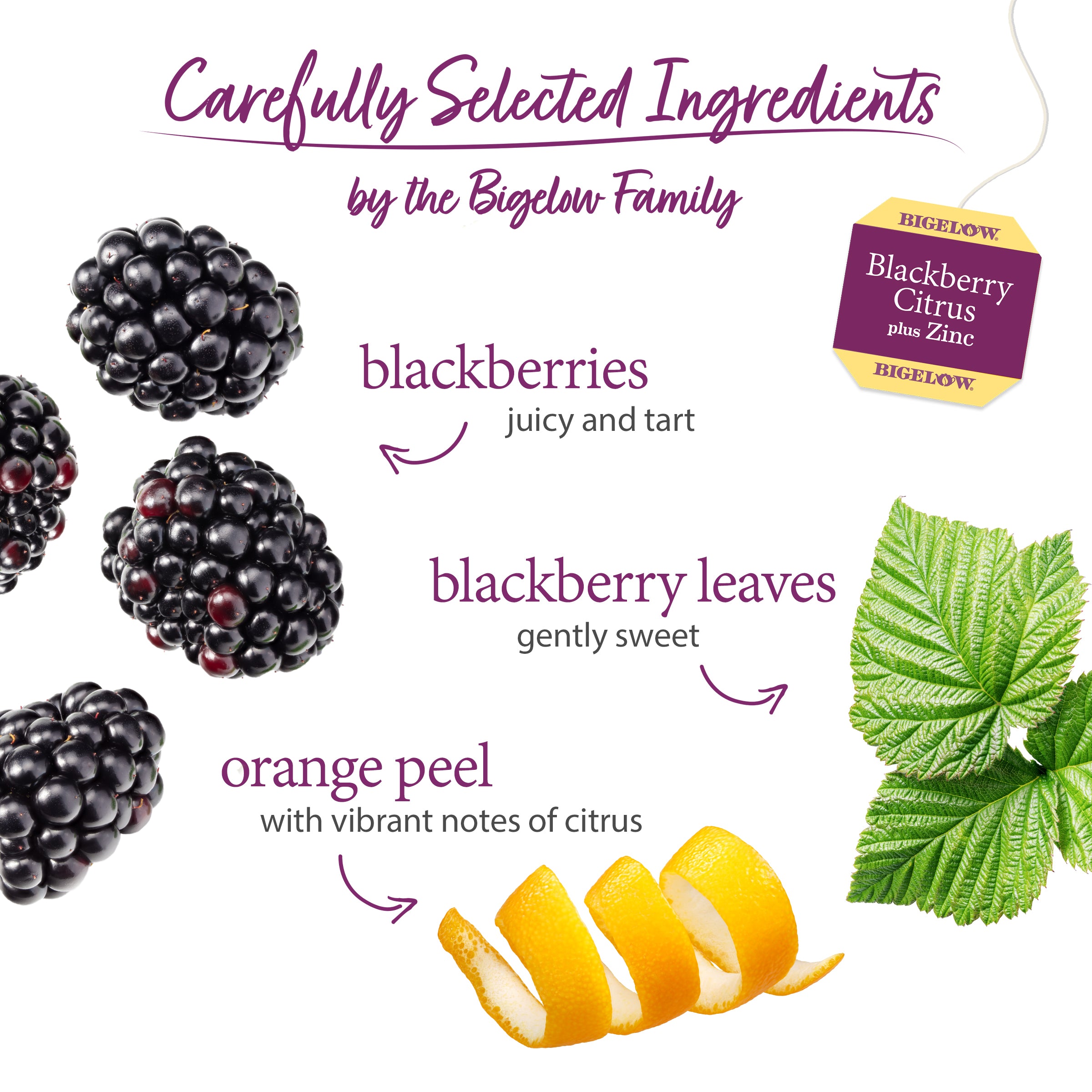 Blackberry juice benefits hotsell