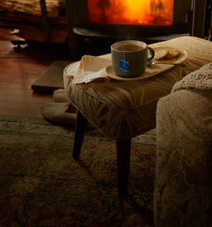 https://www.bigelowtea.com/cdn/shop/files/products_signature_sweet_dreams_winter_fireplace_wood_stove_indoor_warm_evening_night_cup_tag_mobile_slider_2023_300x.jpg?v=1704370921