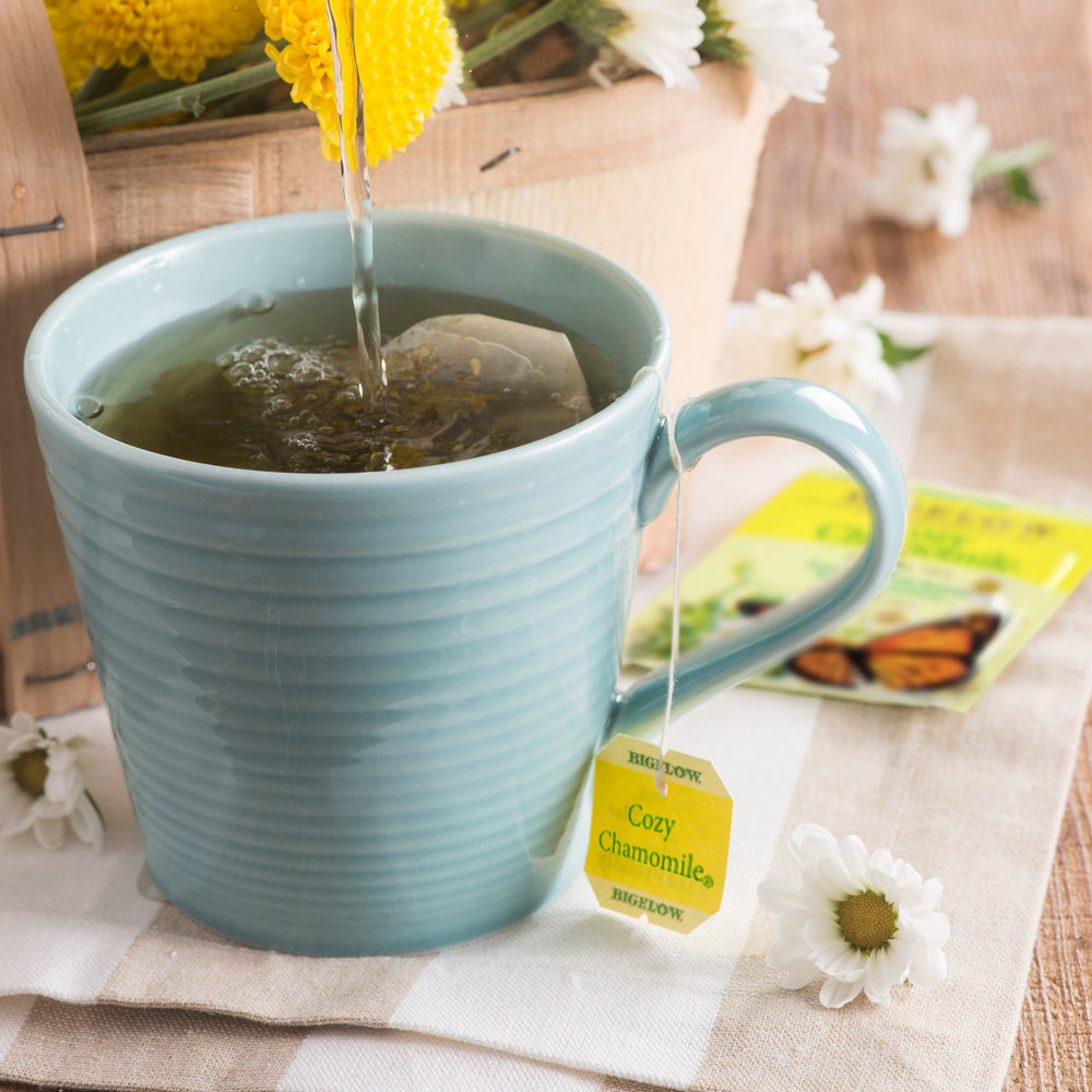 Mug of Bigelow Cozy Chamomile Herbal Tea